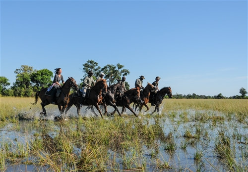 Horseback Riding in the Okavango Delta